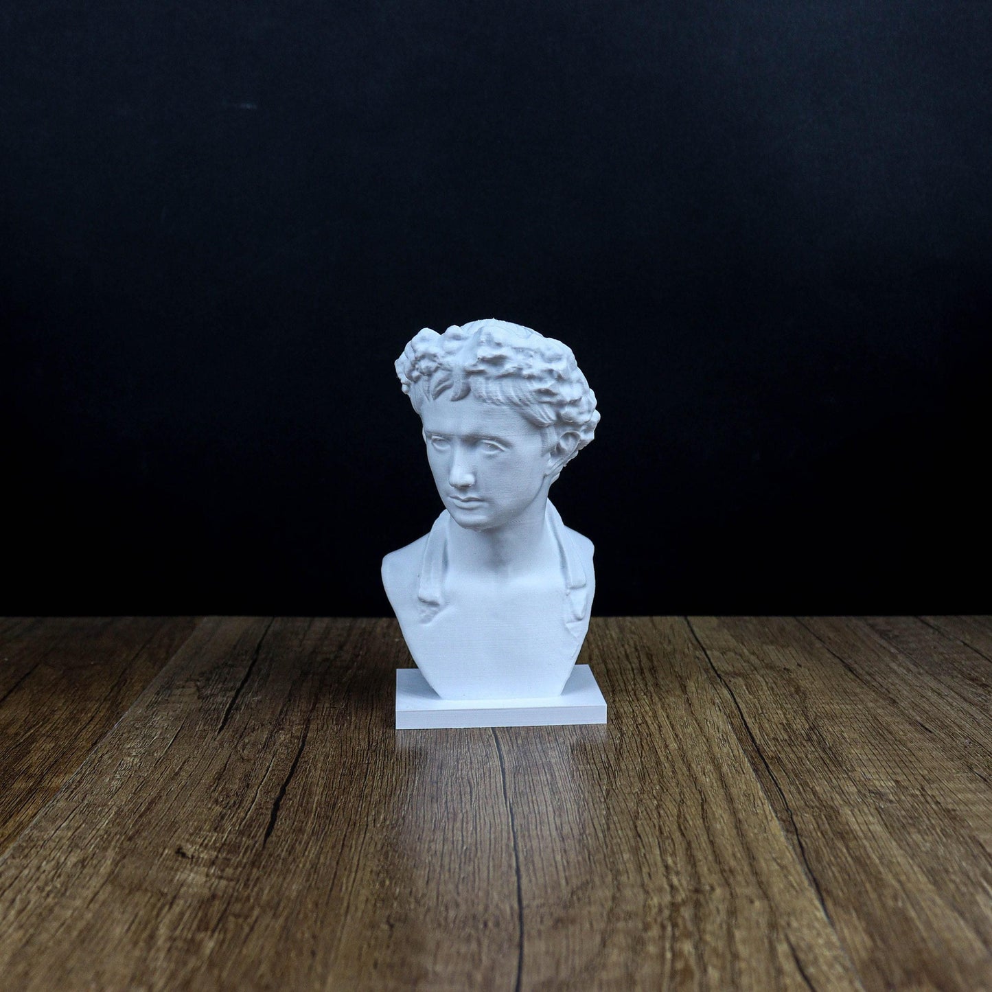 Augustus 3D Printed Bust, Roman Emperor Home Decor