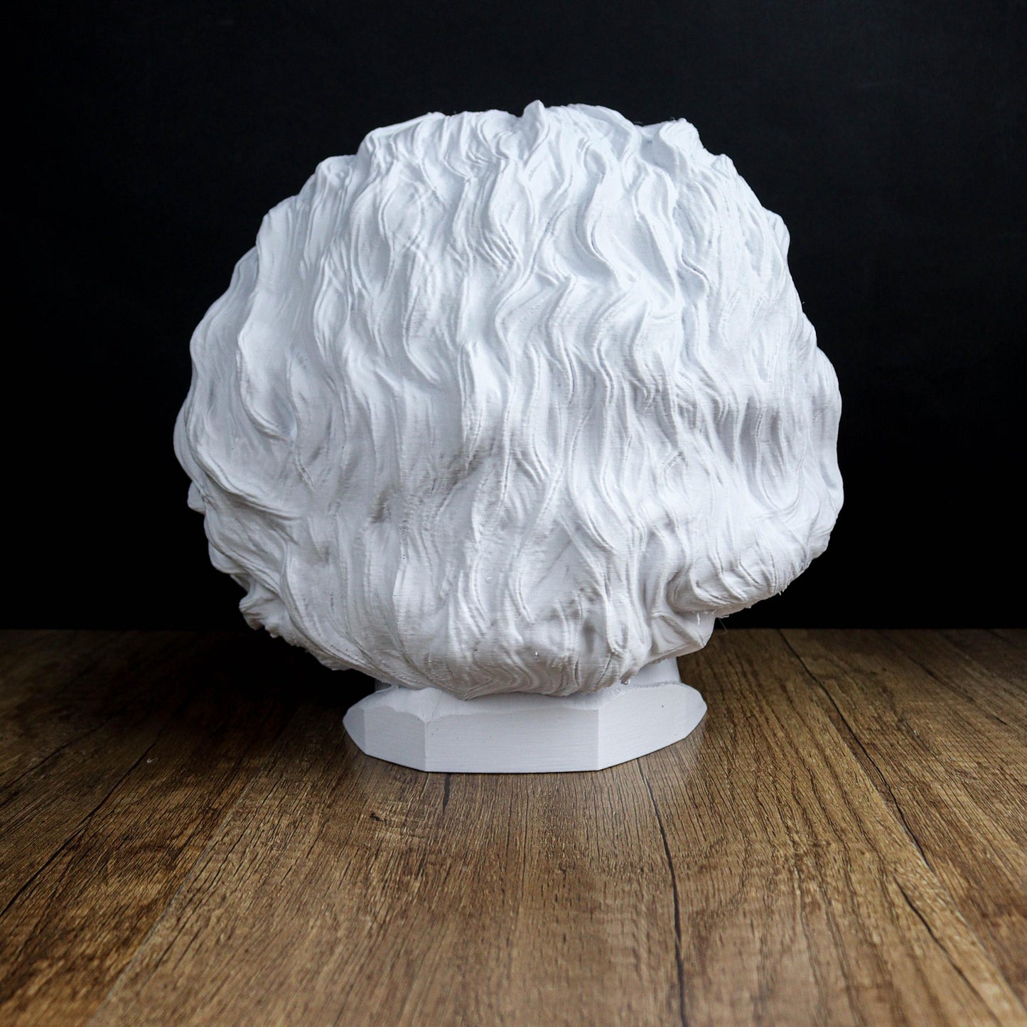 Albert Einstein Head Bust