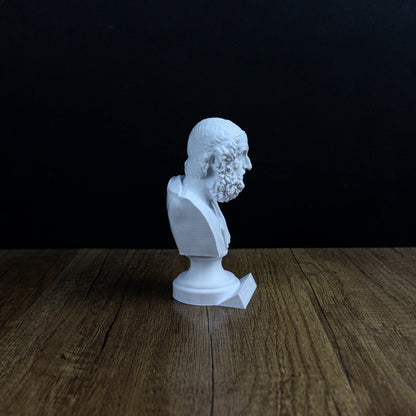 Homer Greek Poet Bust