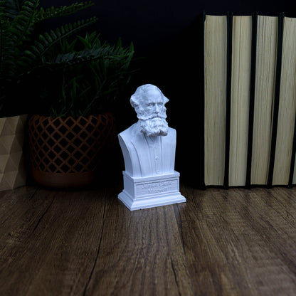 James Clerk Maxwell Bust, Physics Home Decor Gift Idea