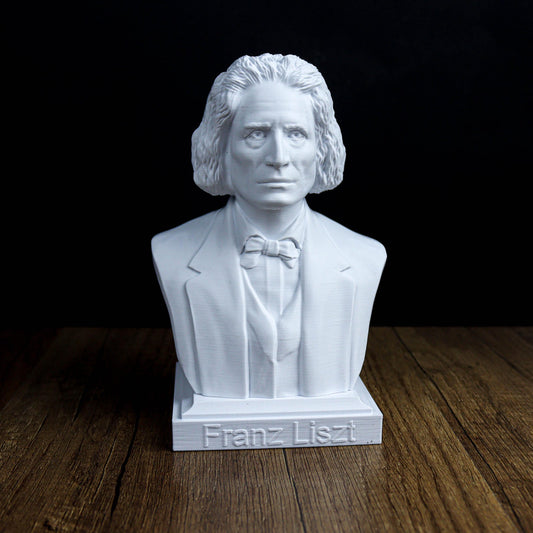 Franz Liszt Bust, Romantic Composer Sculpture for Bookshelf or Music Room Decor
