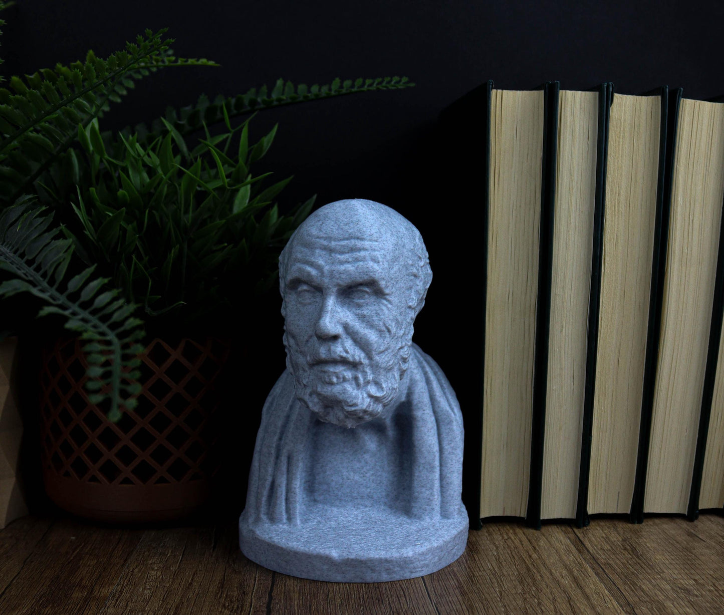 Chrysippus Bust, Statue of Ancient Stoic Philosopher for Bookshelf and Home Decor