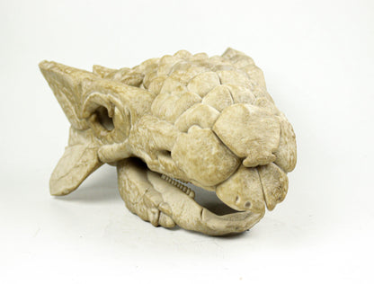 Ankylosaurus skull, Dinosaur Fossil Replica, Prehistoric Decor, Gift for Dinosaur Lovers