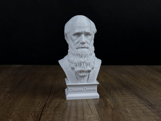 Charles Darwin Bust Sculpture