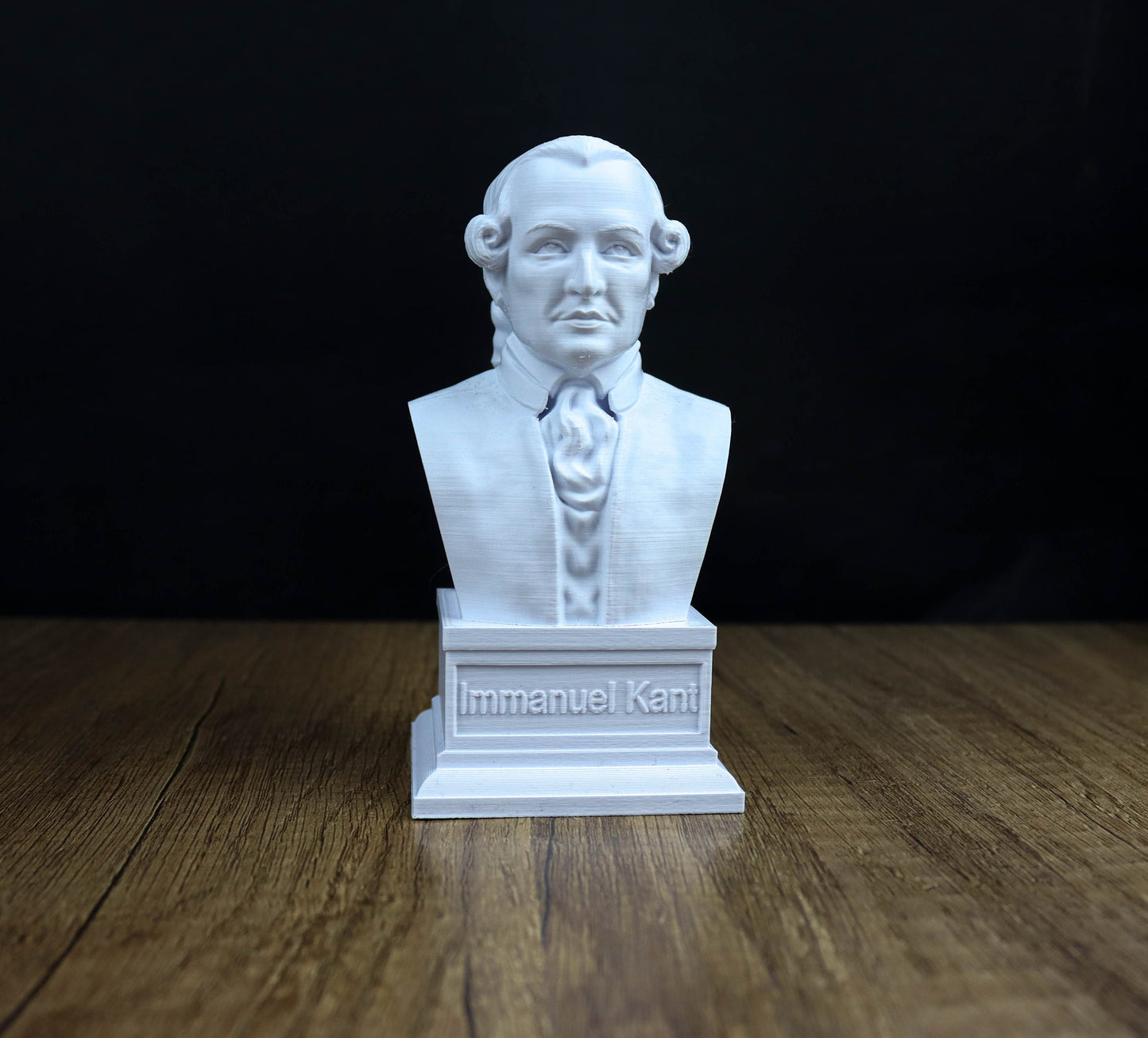 Philosophers Busts Value Pack Collection: Friedrich Nietzsche, Sigmund Freud, Schopenhauer, Karl Marx, Immanuel Kant, Karl Jung, Darwin
