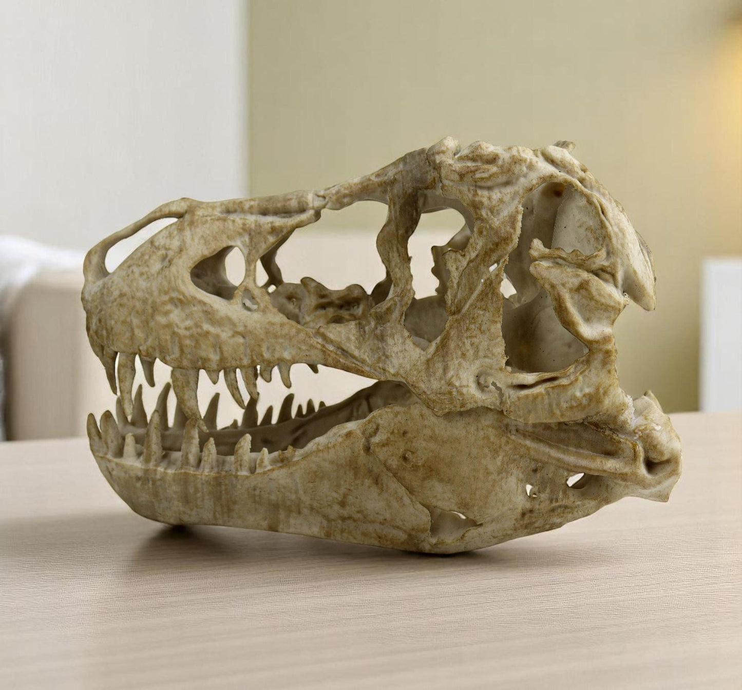 T-rex skull, TRex Aged Skull Replica, Prehistoric Dinosaur Fossil Decor, Jurassic Collectible Gift