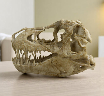 T-rex skull, TRex Aged Skull Replica, Prehistoric Dinosaur Fossil Decor, Jurassic Collectible Gift