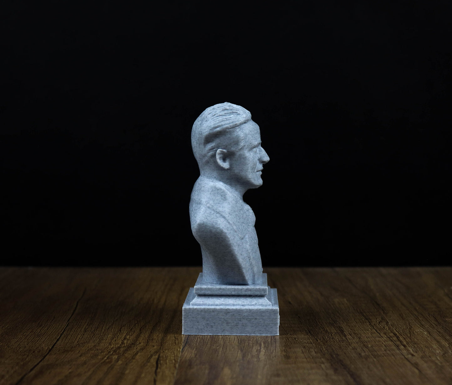Erwin Schrodinger 3D Sculpture Bust