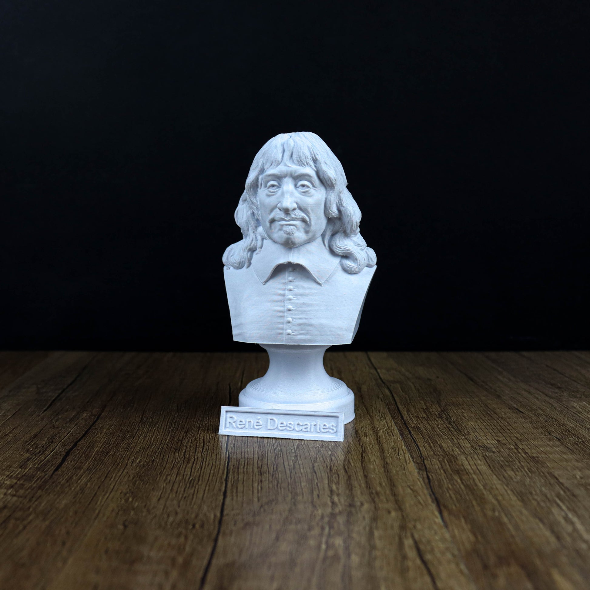 A white bust of a man with long hair and a serious expression is displayed on a wooden surface, accompanied by a small plaque that reads "Rene Descartes".
