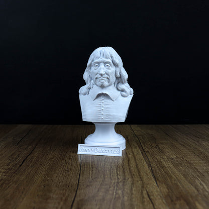 A white bust of a man with long hair and a serious expression is displayed on a wooden surface, accompanied by a small plaque that reads "Rene Descartes".