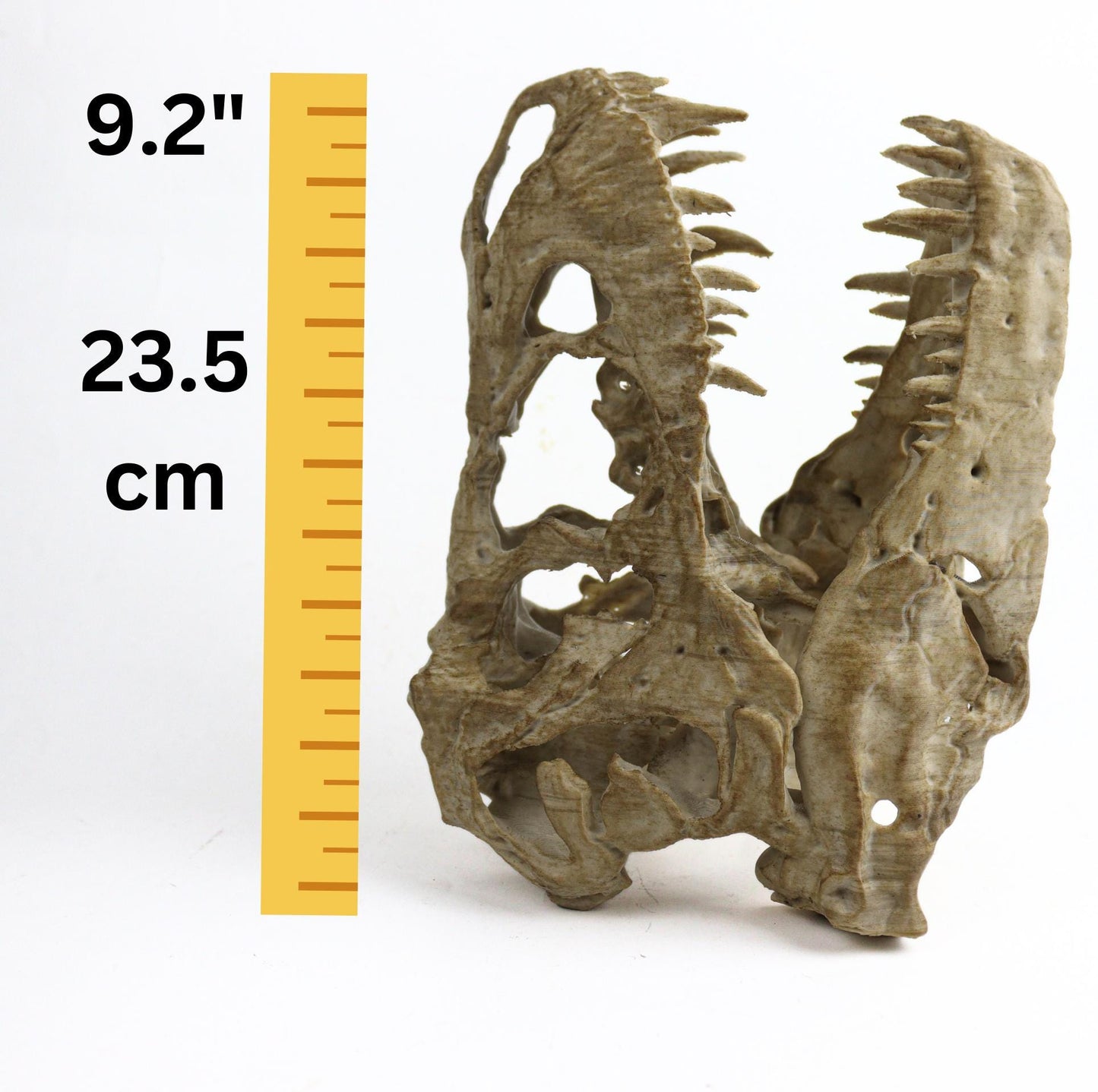 T-rex skull, TRex Aged Skull Replica, Prehistoric Dinosaur Fossil Decor, Jurassic Collectible Gift