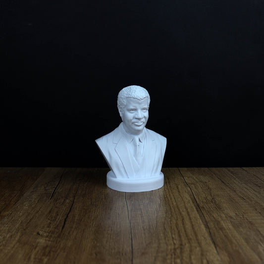 Neil deGrasse Tyson Bust