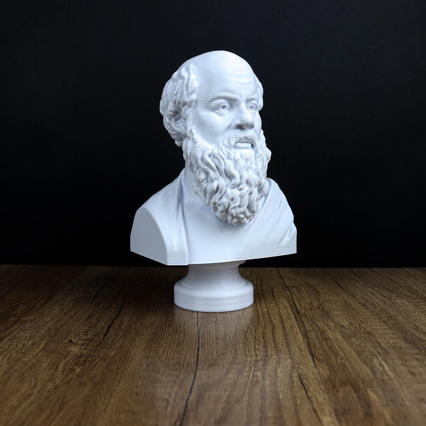 Socrates Bust, Greek Statue, Sculpture