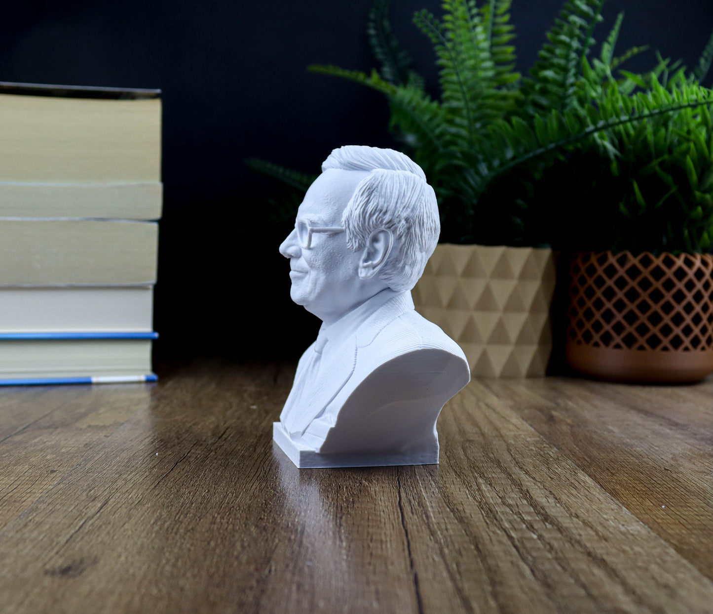 A white bust of a man is displayed on a wooden surface, surrounded by books and a potted plant.