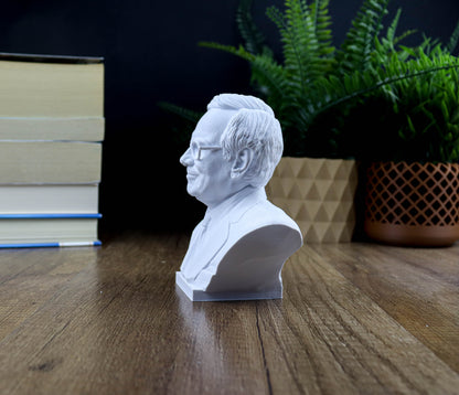 A white bust of a man is displayed on a wooden surface, surrounded by books and a potted plant.