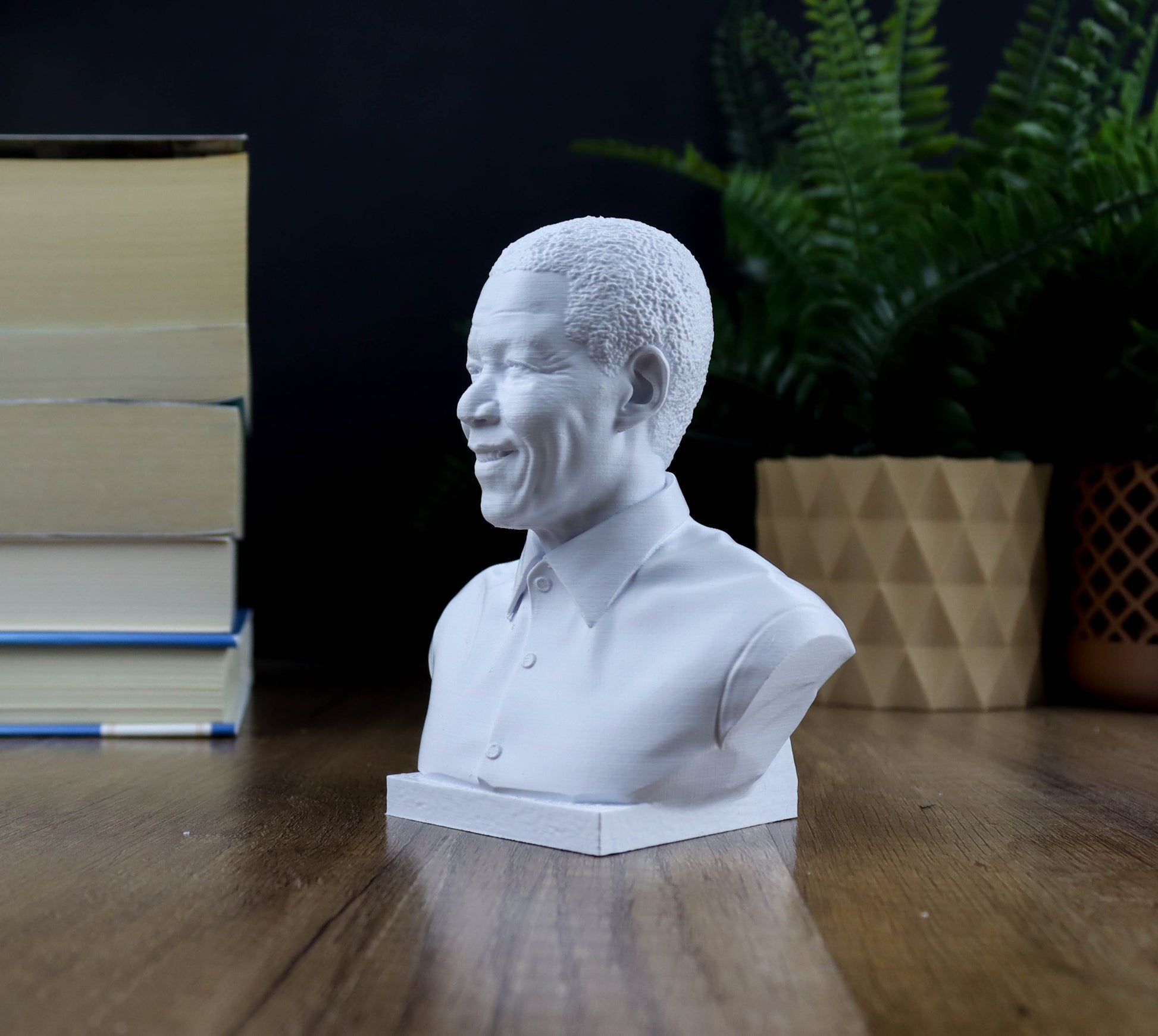 A white bust of Nelson Mandela, a prominent South African leader, is displayed on a wooden surface, surrounded by books and a potted plant.