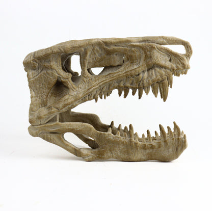 Postosuchus Kkull, Aged Reptile Skull Replica, Prehistoric Dinosaur Fossil Decor, Jurassic Collectible Gift
