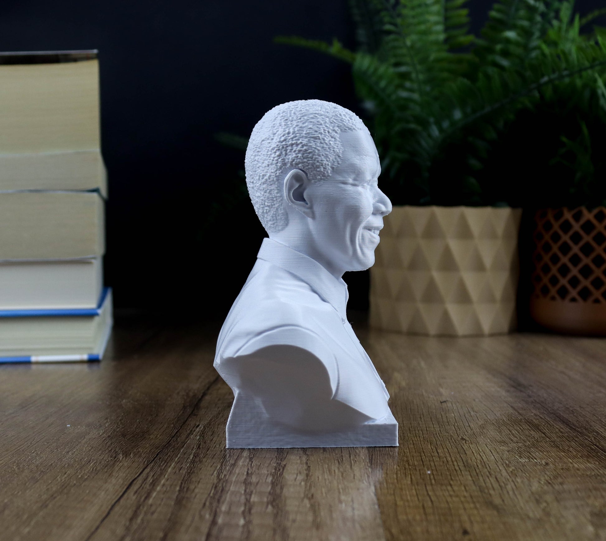 A white bust of a person is displayed on a wooden surface, surrounded by books and a potted plant.