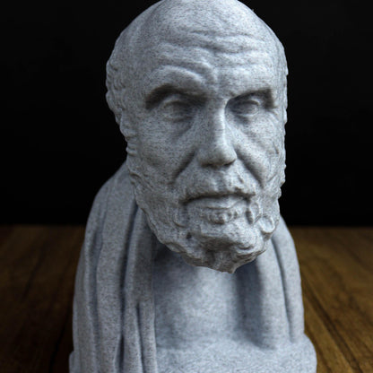 Chrysippus Bust, Statue of Ancient Stoic Philosopher for Bookshelf and Home Decor