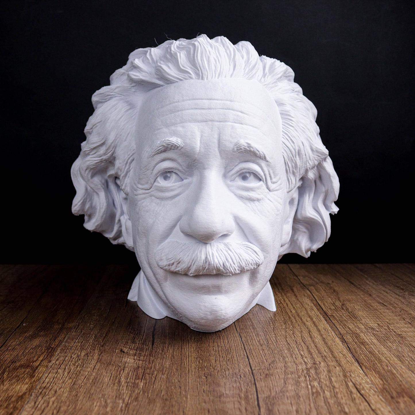 Albert Einstein Head Bust