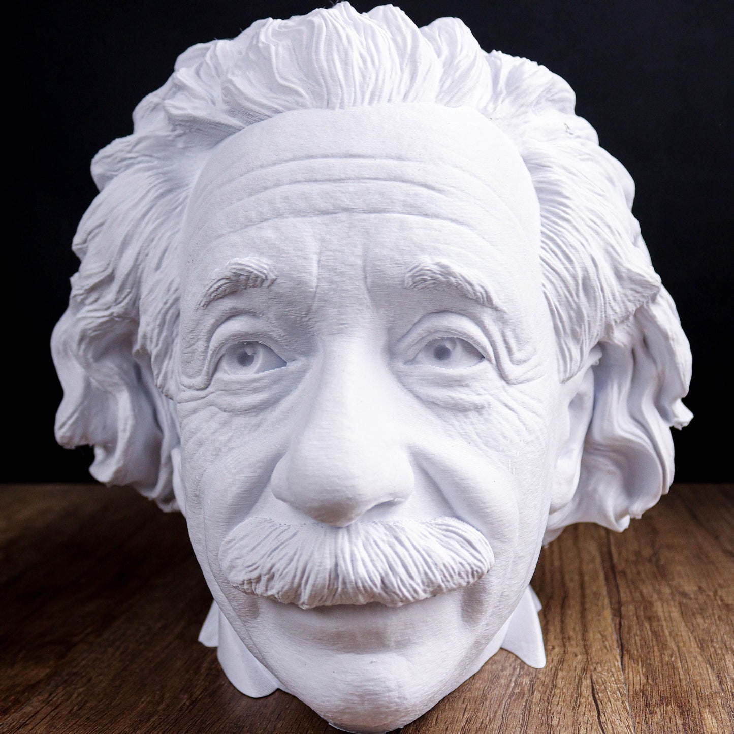 Albert Einstein Head Bust