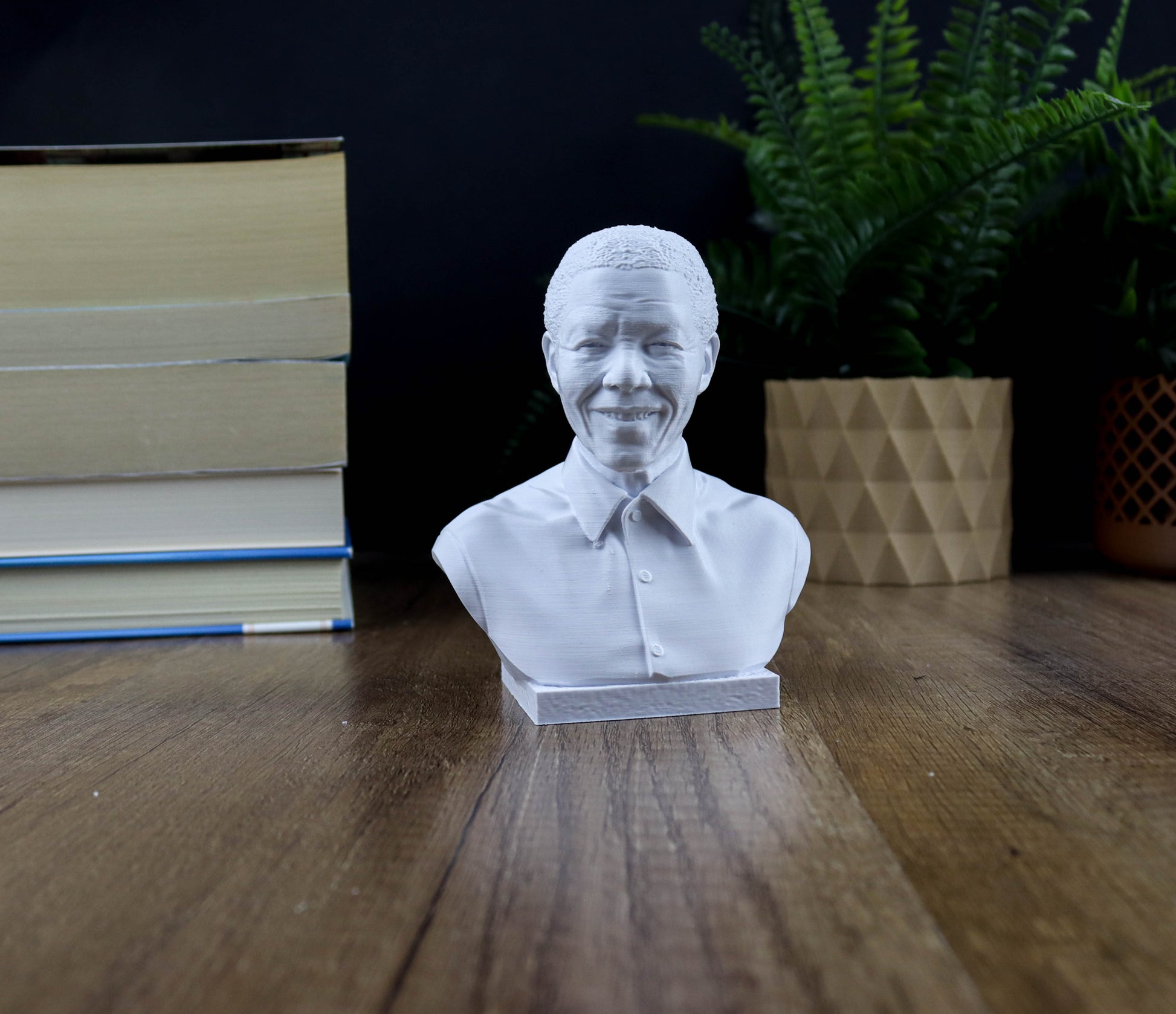 A white bust of Nelson Mandela is displayed on a wooden surface, surrounded by books and a potted plant.