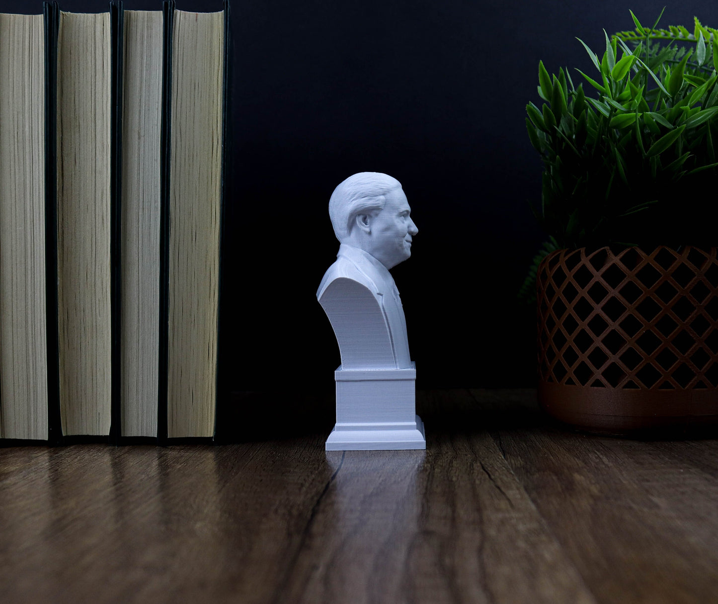 Sir David Attenborough Bust, British Broadcaster, Biologist and Author Statue