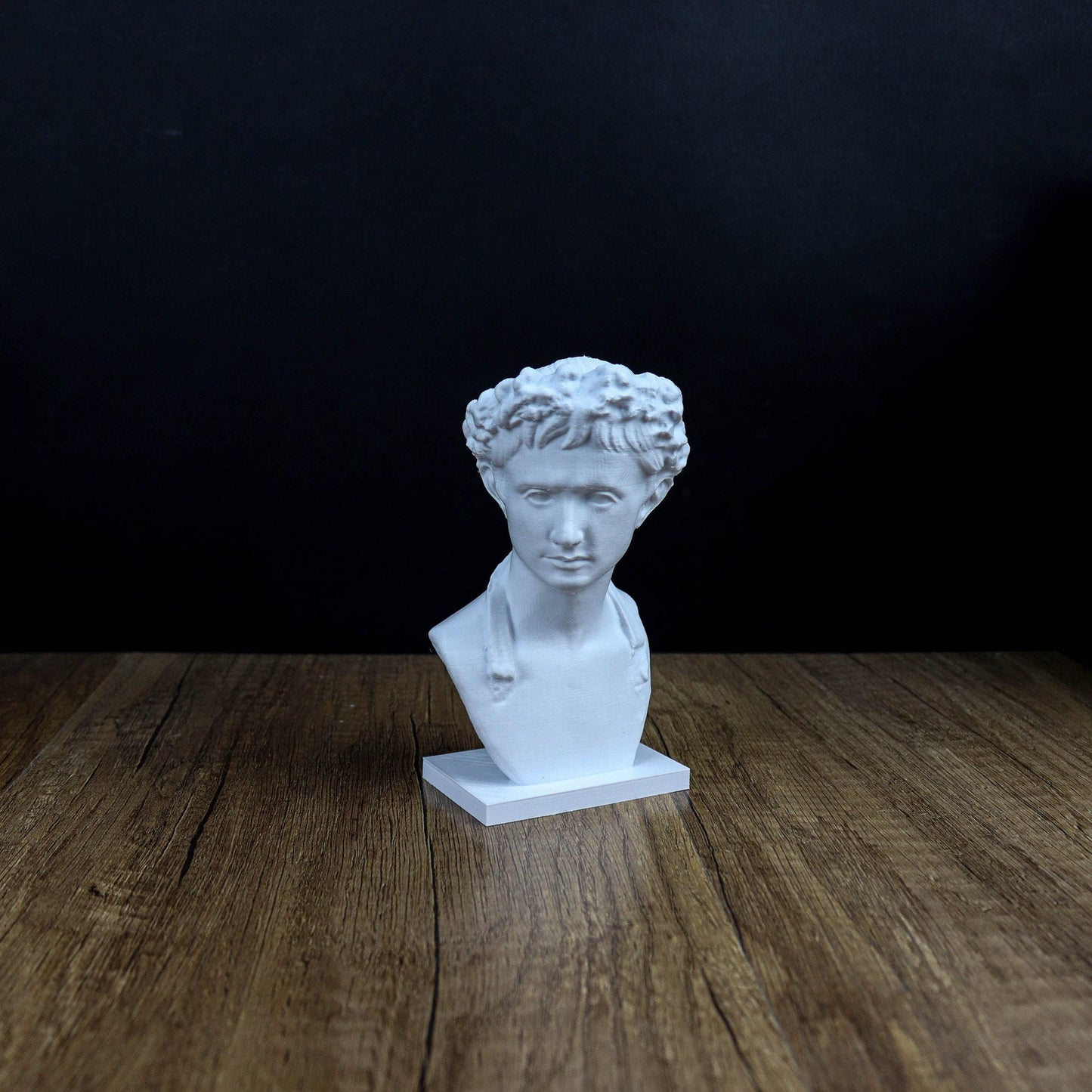 Augustus 3D Printed Bust, Roman Emperor Home Decor