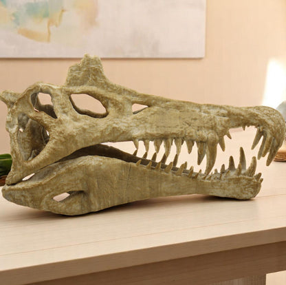 Handpainted Spinosaurus Skull Replica: Aged Dinosaur Fossil Decor