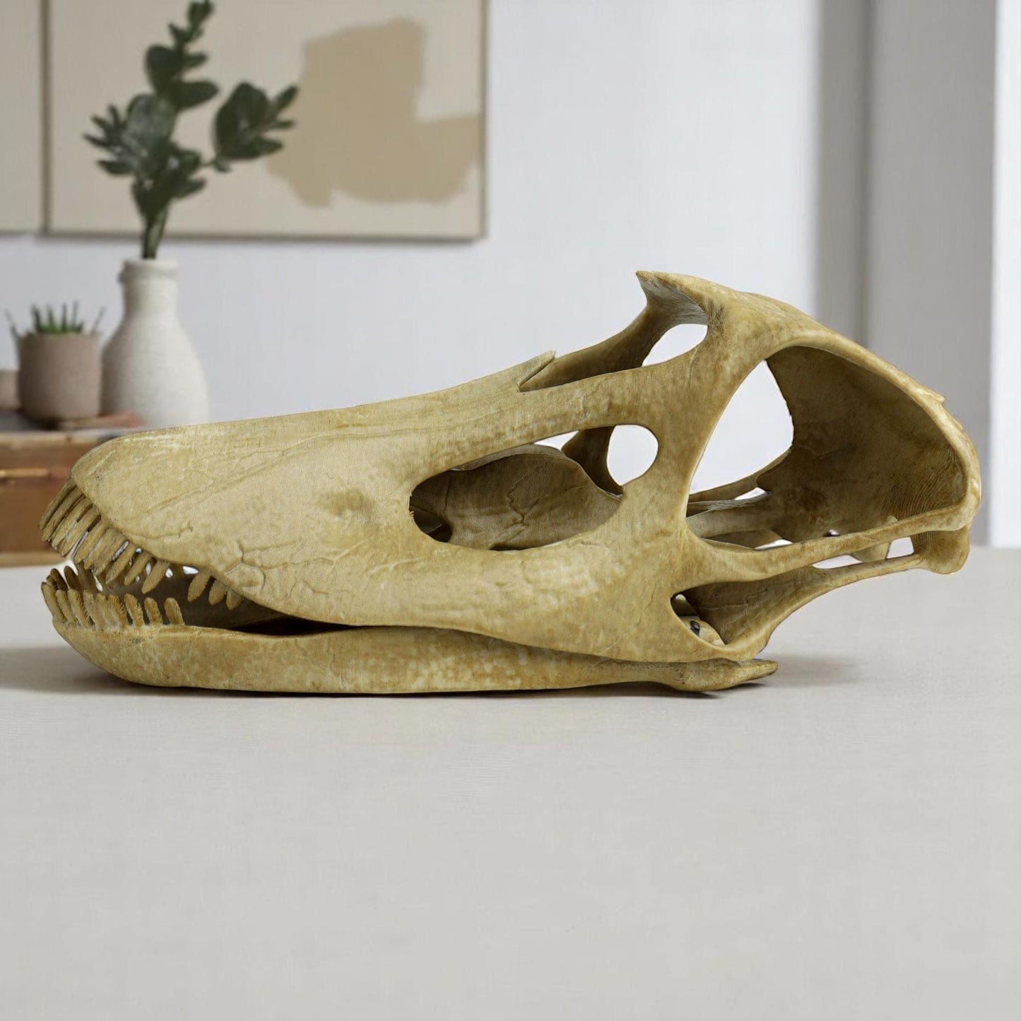 Diplodocus skull, Diplodocus Handpainted Aged Skull Replica, Prehistoric Dinosaur Fossil Decor, Jurassic Collectible Gift