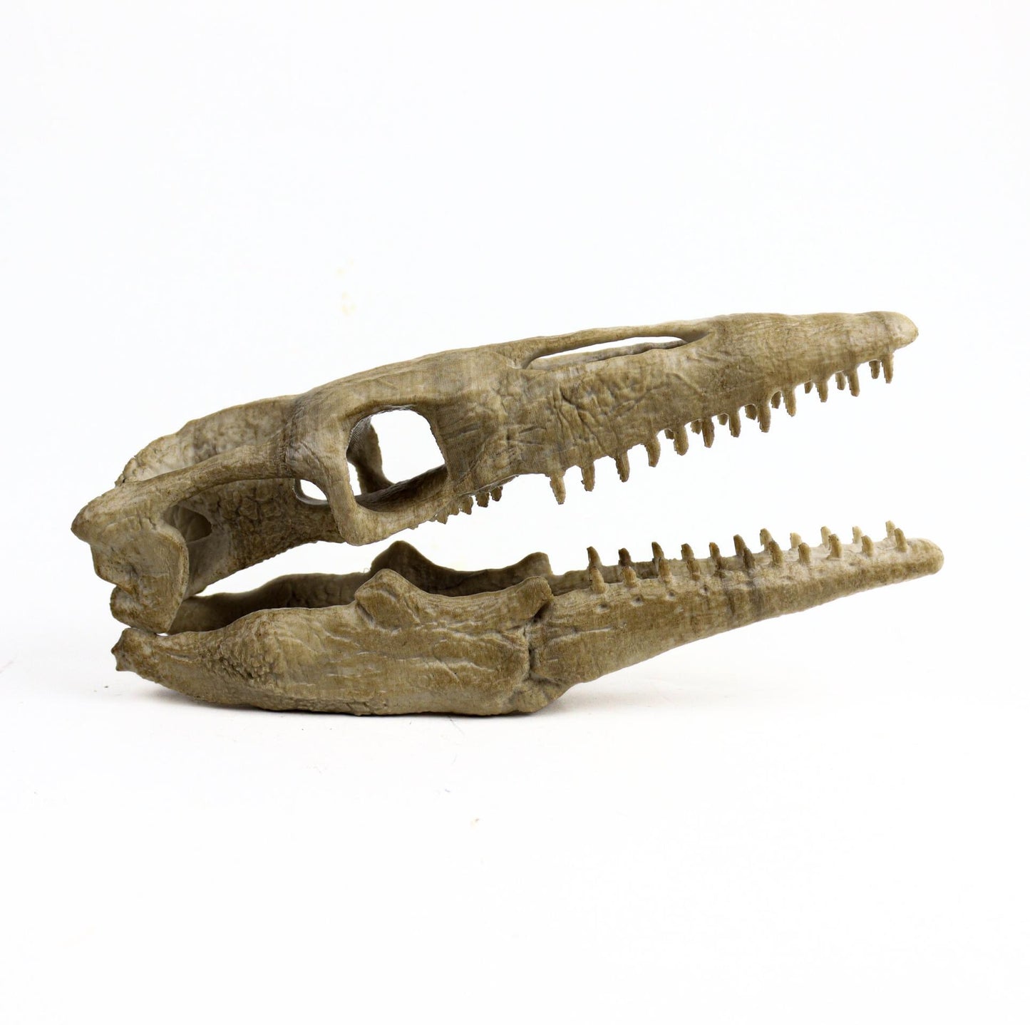 Mosasaurus Skull, Aged Reptile Skull Replica, Prehistoric Dinosaur Fossil Decor, Jurassic Collectible Gift