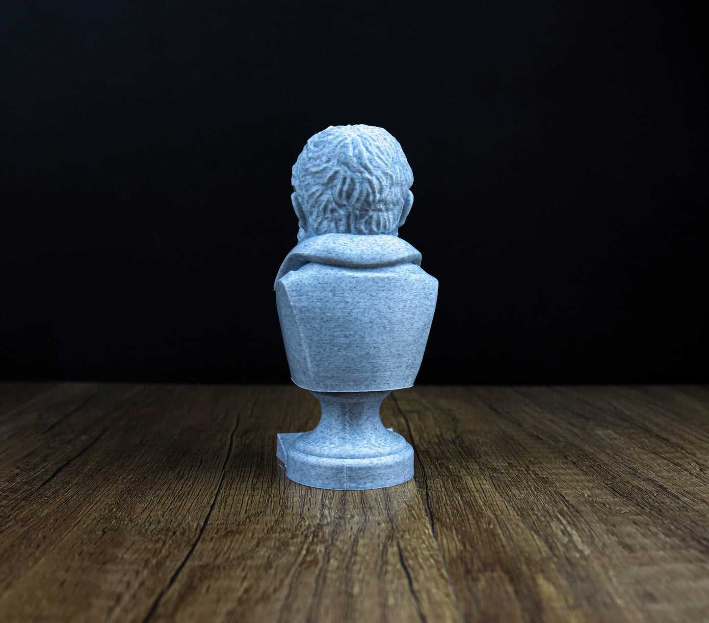 Galileo Galilei Bust, Statue