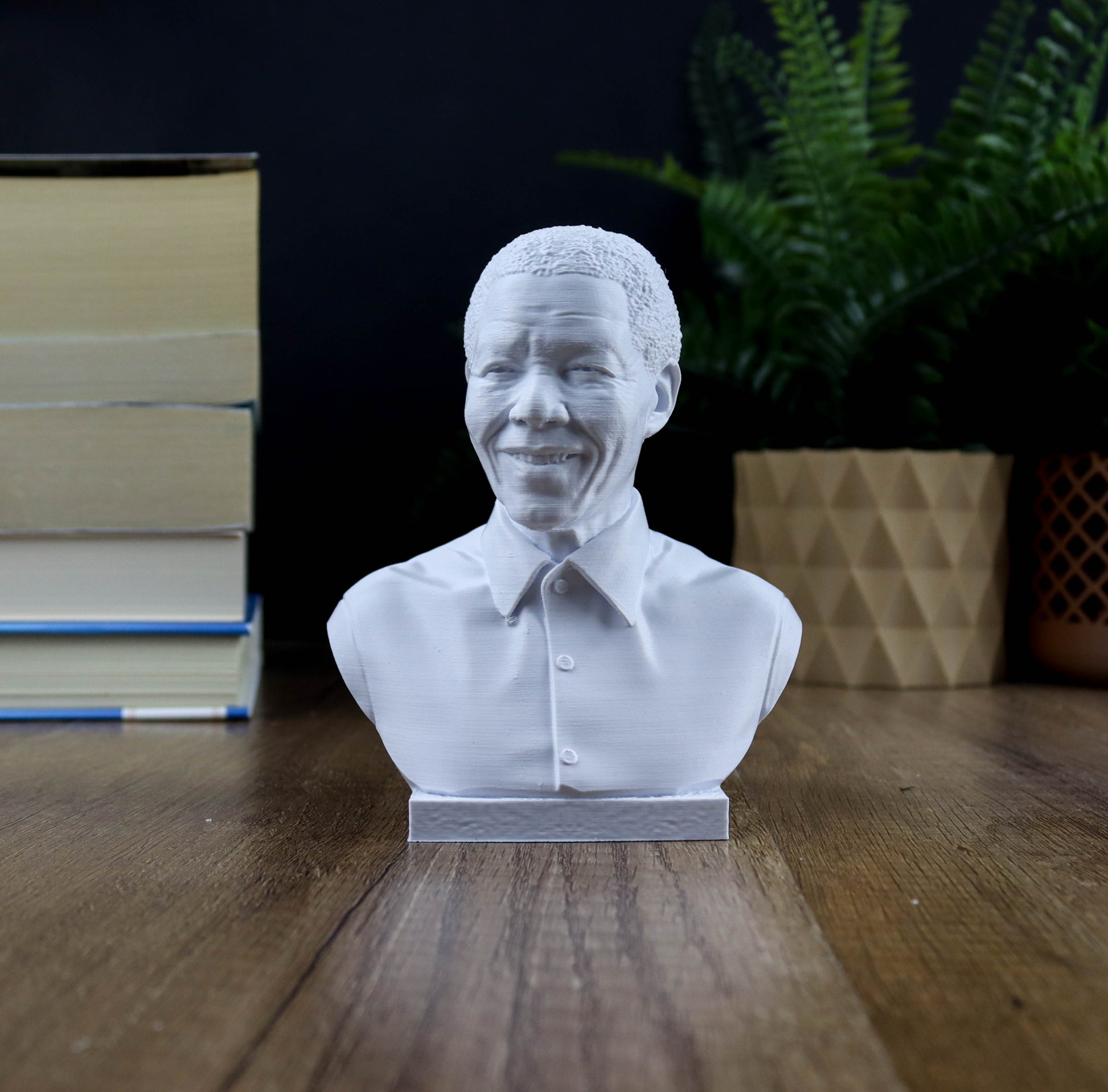 A white bust of Nelson Mandela, a prominent South African leader, is displayed on a wooden surface in the foreground. Behind the bust, there are several books and a potted plant, creating a serene and intellectual atmosphere.