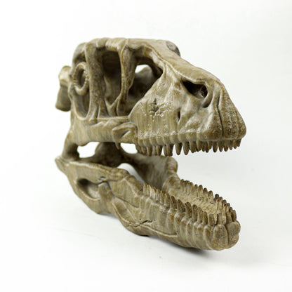 Deinonychus skull, Museum style raptor fossil sculpture for home or office decor