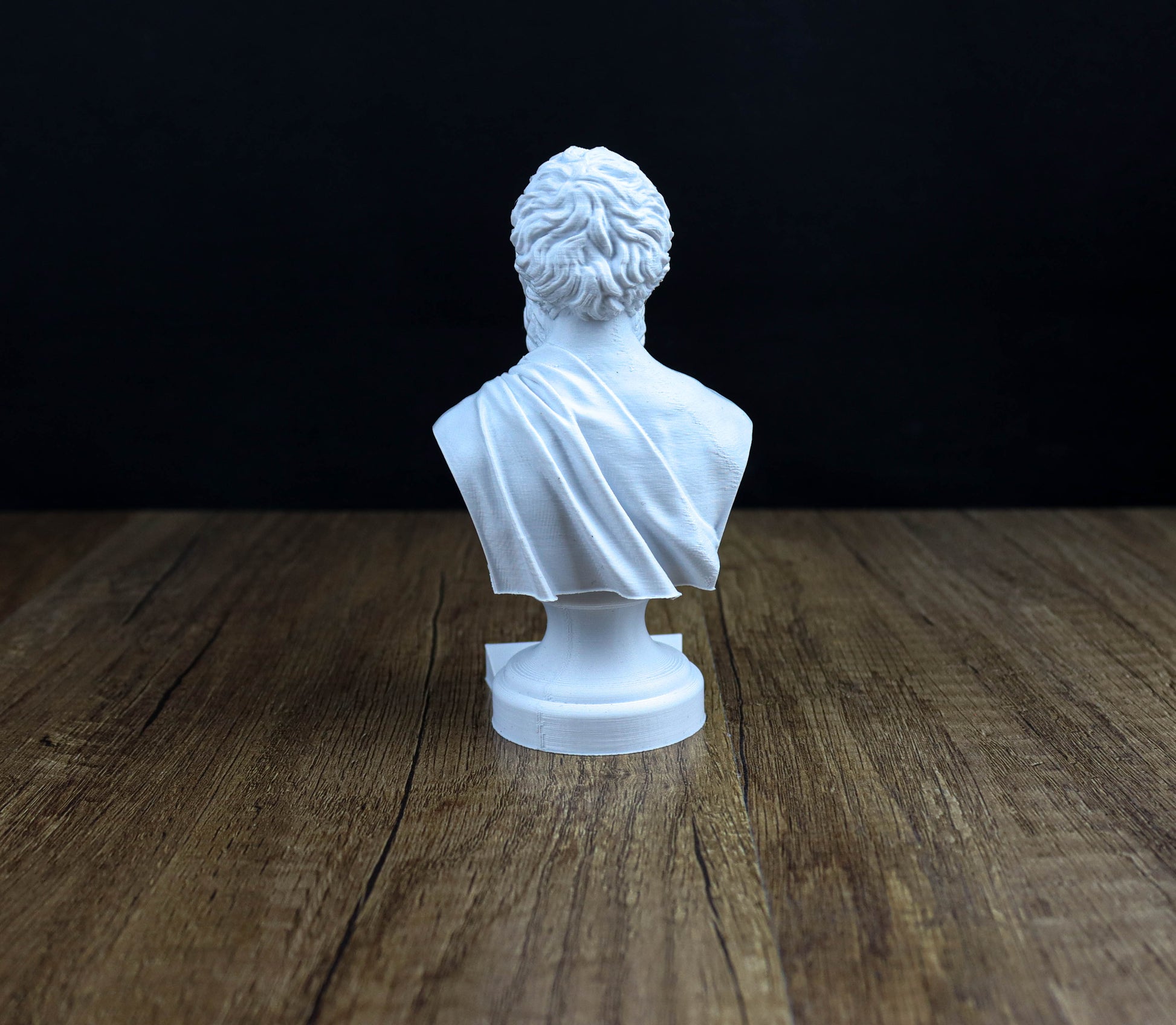 A white bust of a person is displayed on a wooden surface against a dark background.