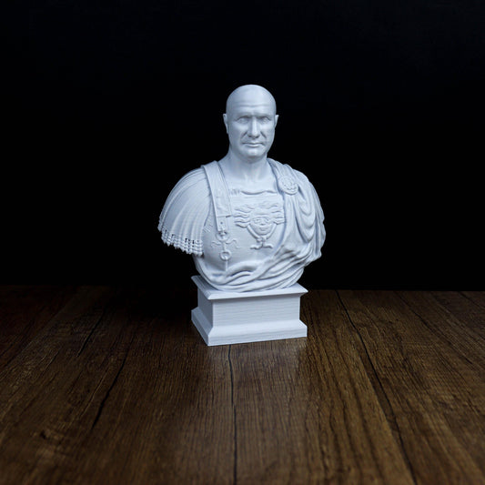 Scipio Africanus Bust, Roman General Bookshelf and Home Decor