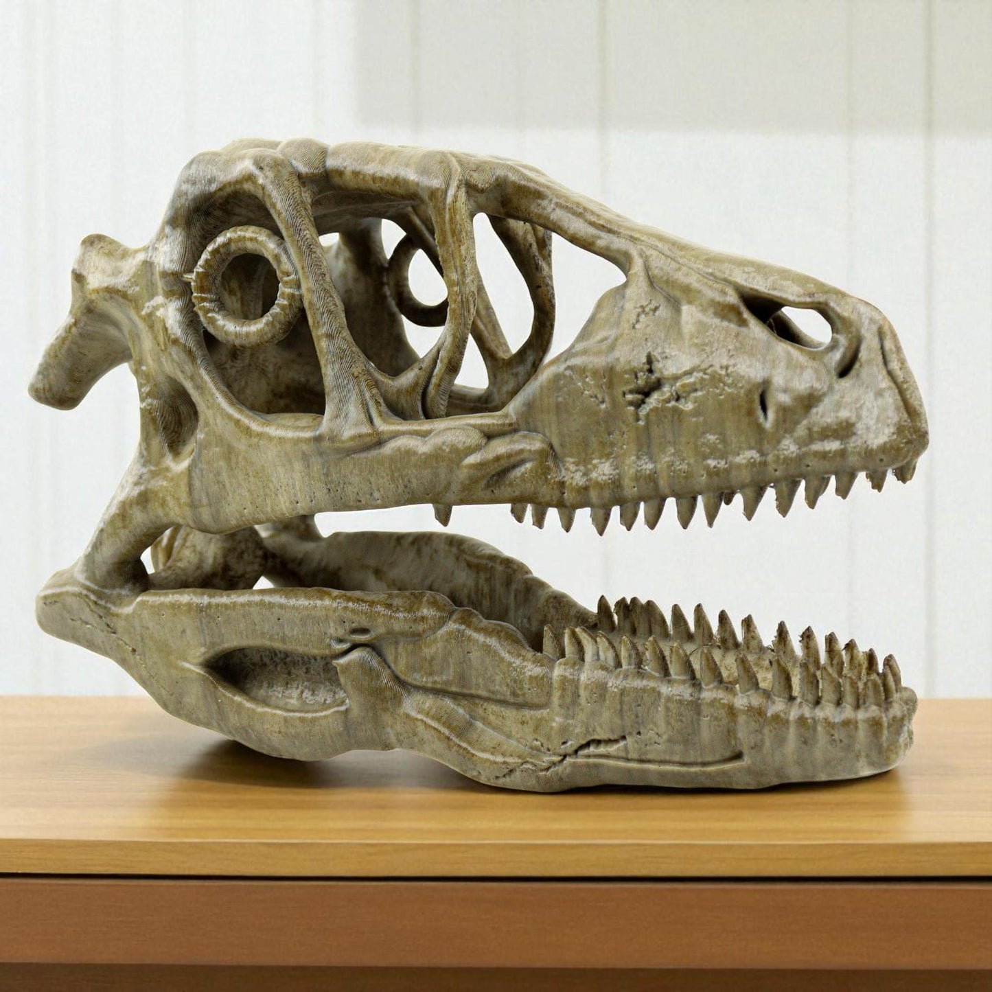 Deinonychus skull, Museum style raptor fossil sculpture for home or office decor