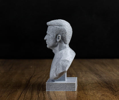 Volodymyr Zelenskyy Bust, President of Ukraine Statue