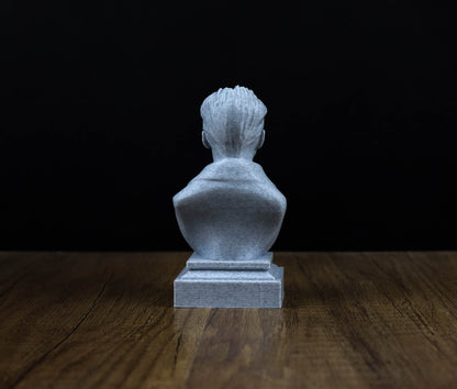 Erwin Schrodinger 3D Sculpture Bust
