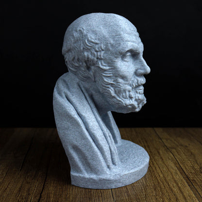 Chrysippus Bust, Statue of Ancient Stoic Philosopher for Bookshelf and Home Decor
