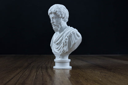 A white bust of a bearded man is displayed on a wooden surface against a dark background.