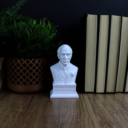A white bust of a man is displayed on a wooden surface, surrounded by a potted plant and a stack of books.