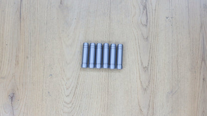 Set of 6 Ammo Belt Cartidges for the Mando Costume 3d Printed