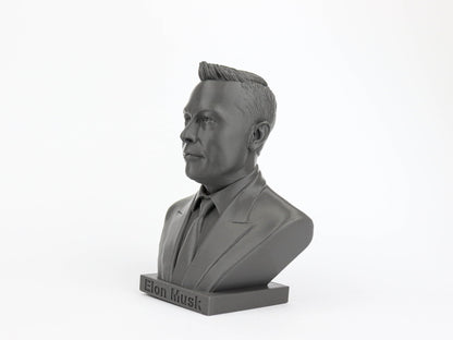 Elon Musk Sculpture Bust,  SpaceX, Entrepreneur