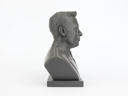 Elon Musk Sculpture Bust,  SpaceX, Entrepreneur