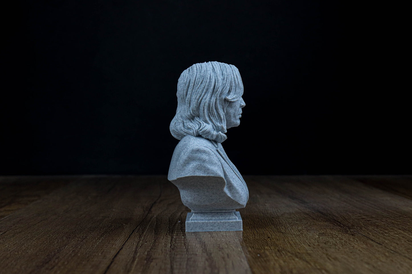 Kamala Harris 3d Bust, Vice President of the United States Bust Sculpture