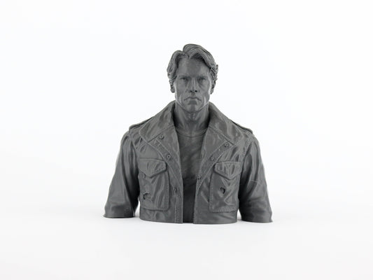 Arnold Schwarzenegger as Terminator 3d Bust Sculpture