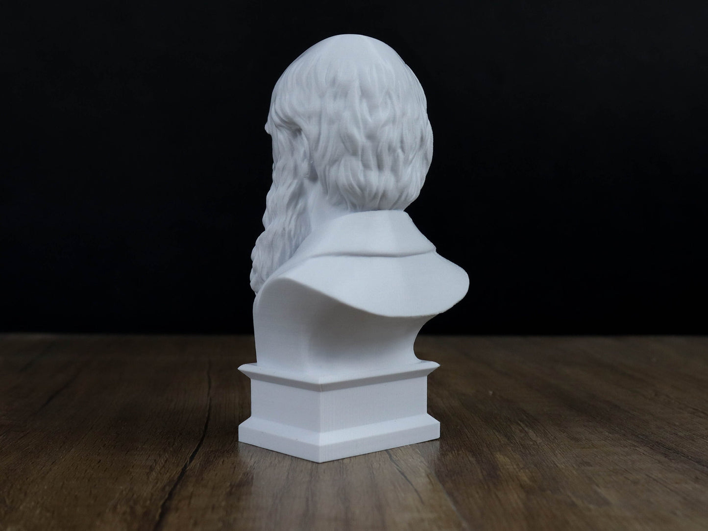 Charles Darwin Bust Sculpture