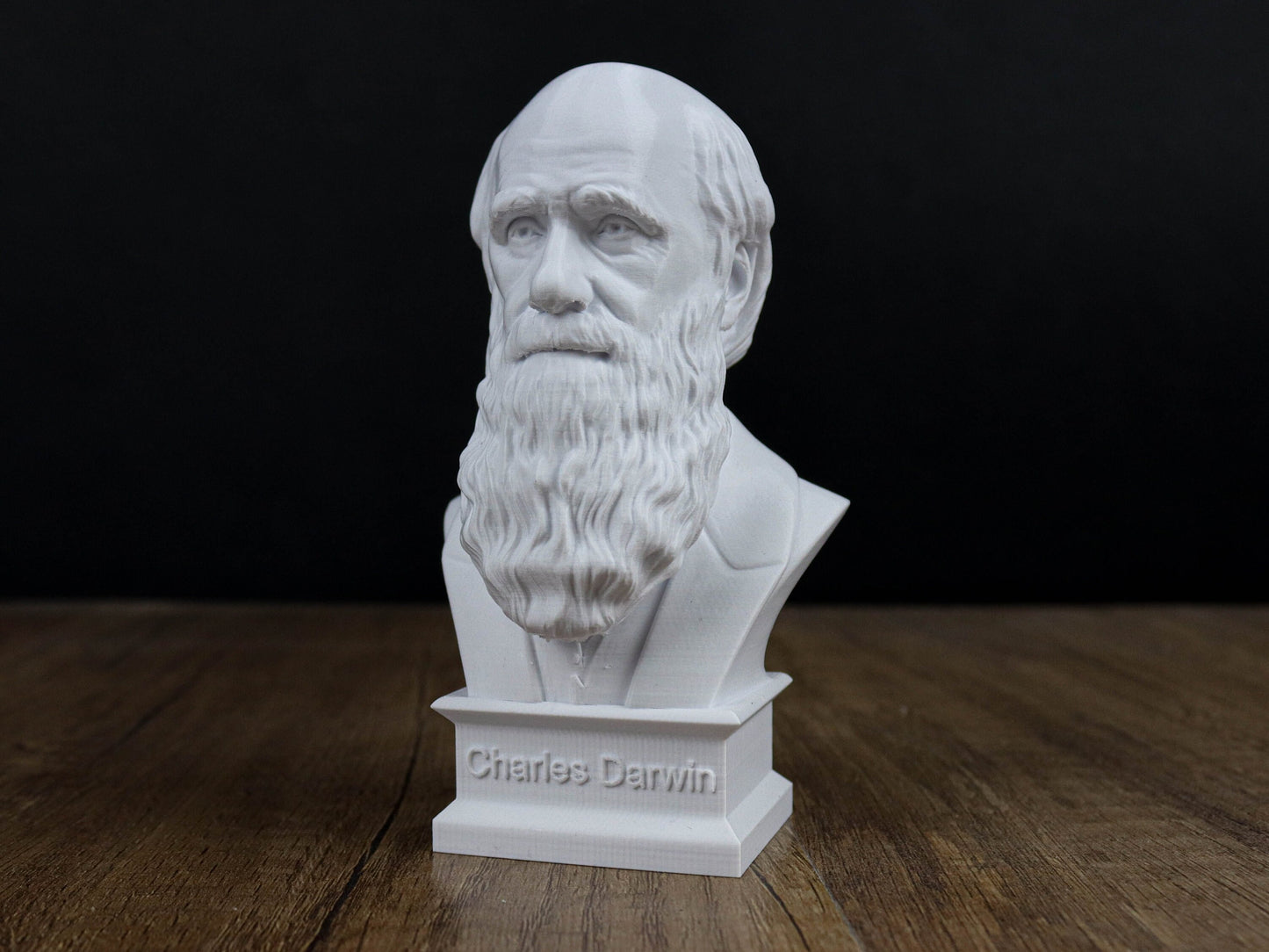 Charles Darwin Bust Sculpture