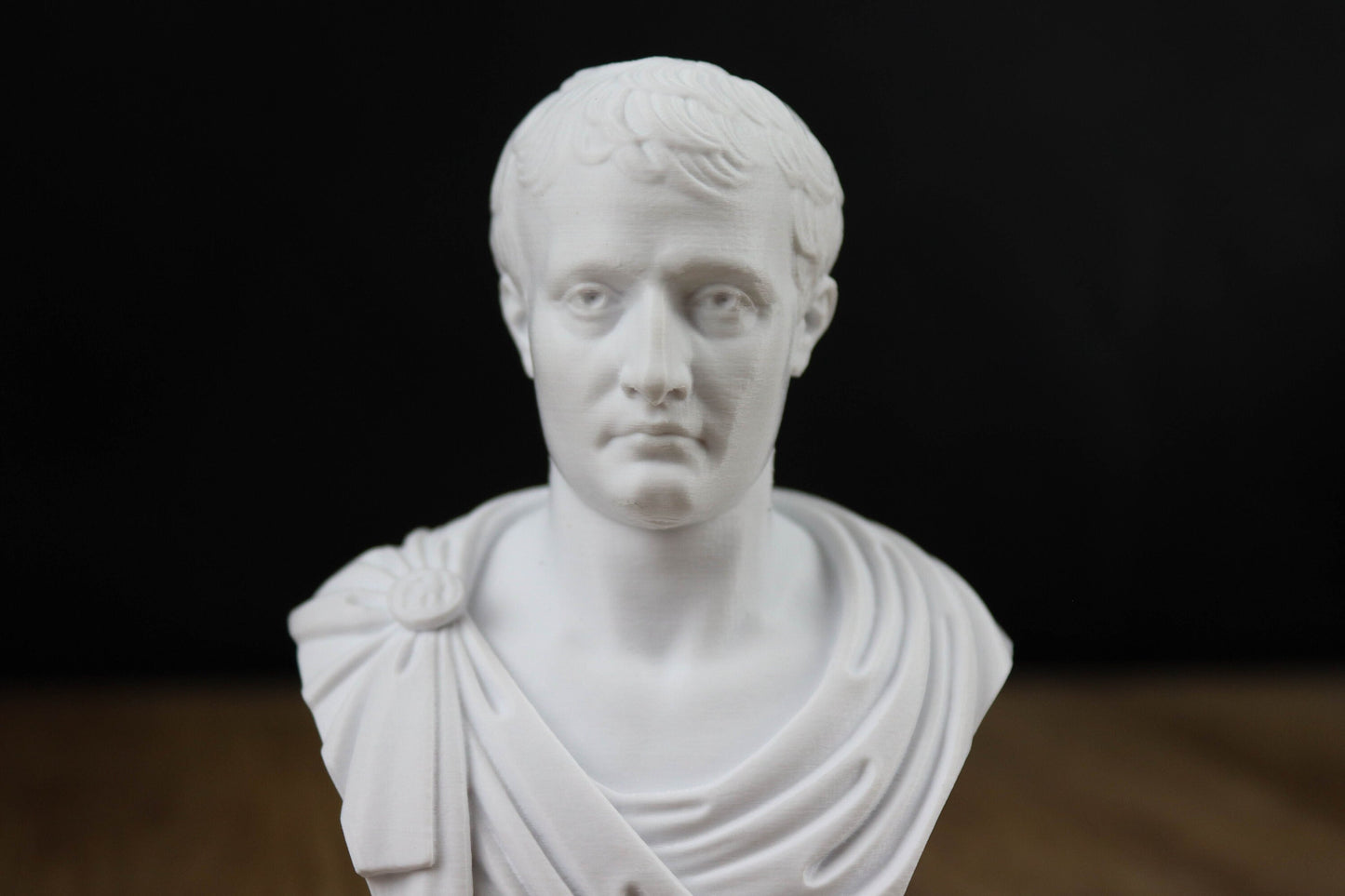 Napoleon Bonaparte Bust Sculpture